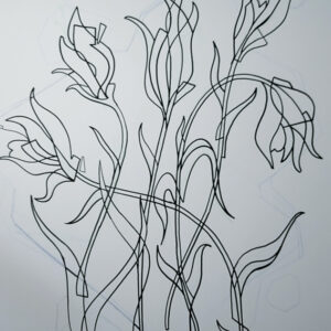 tulips_wip2